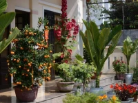 Han Thuyen Homestay 