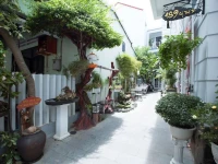 Moc Vien Homestay 
