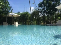 Palm View Villa 