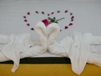 Snow Pearl Homestay Hoi An 