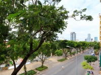 Hoang Phi Hotel 
