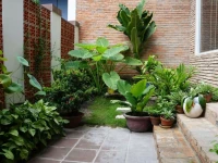 Ananas Family Hotel 