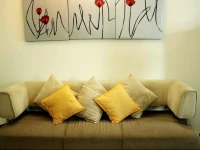 Dangs Residence 