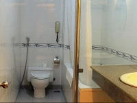Independent Palaces Hotel 108 
