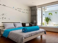 Le Soleil Penthouse - District 1 