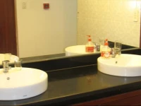 The Crazy Dutch Hostel 