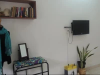 The Vee House 