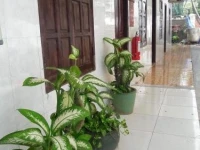Tuan Nghia Guesthouse 