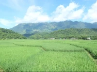 Mai Chau Farmstay 