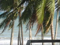 Sunrise Village Hotel 