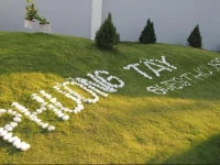 Phuong Tay Guest House 