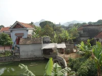 Viet Nghia Hotel 