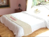 Sapa Scenery Hotel 