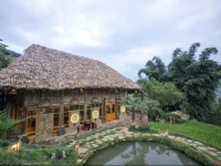 Eco Palms House 