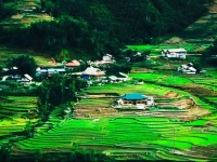 Sapa Terrrace House 
