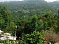 Tam Hien Cu Lao Cham Homestay 