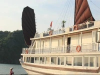 Legacy Cruise 