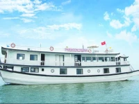 Paragon Cruise 