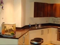 Canary Wharf View Apartment 