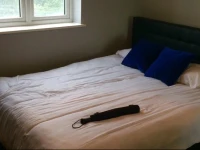 Apartment in Whitestone 