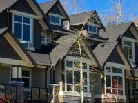 Brookside Inn 