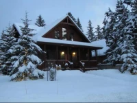 Banff Bear Bed & Breakfast 