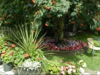 Serenity Bed and Breakfast 