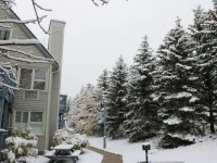 Mountain Springs Resort 