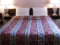 Canyon Alpine Motel 