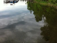 Lake Dalrymple Resort 