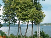 12 Mile Lake Bed and Breakfast 