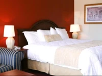 Saxony Motel 