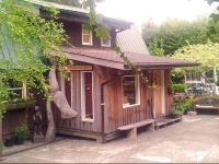 Dolphin House B&B 