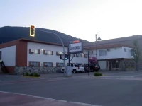 Downtowner Motor Inn 