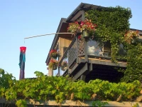 Duck Inn Riverfront Cottages 