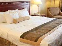 HOTEL MTL EXPRESS - Montreal Airport 