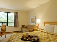 Comfort Inn Airport Dorval 