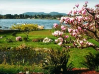 Quamichan Lakehouse Bed & Breakfast 