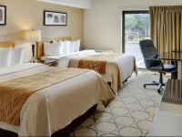 Comfort Inn Edmonton West 