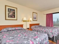 Econo Lodge South 