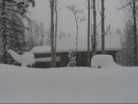 Twisted Timber Guest House 