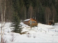 Bear Corner Adventures Bed & Bale 