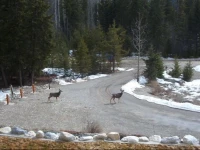 Glenogle Mountain Lodge and Spa 