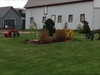 Morrows Farm Cottages 