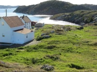 The Old Salt Box Co. - Daisys Place 