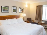 Twin Pine Inn & Suites 