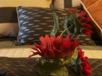 YPC Fitness & Accomodations 
