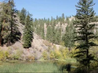 Mountain Springs Nature Retreat 