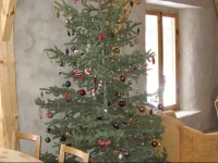 Chalets Г‰cologiques Solisterra 
