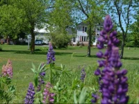 Rogers Island Getaway BnB 